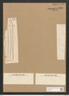 Nitzschia levissima Grun. (de-Toni-Nr.: Genus 47, Species 2105) Zeichnungen Sammlung Grunow Nr. 4205 (NHMW-BOT-W0372127)